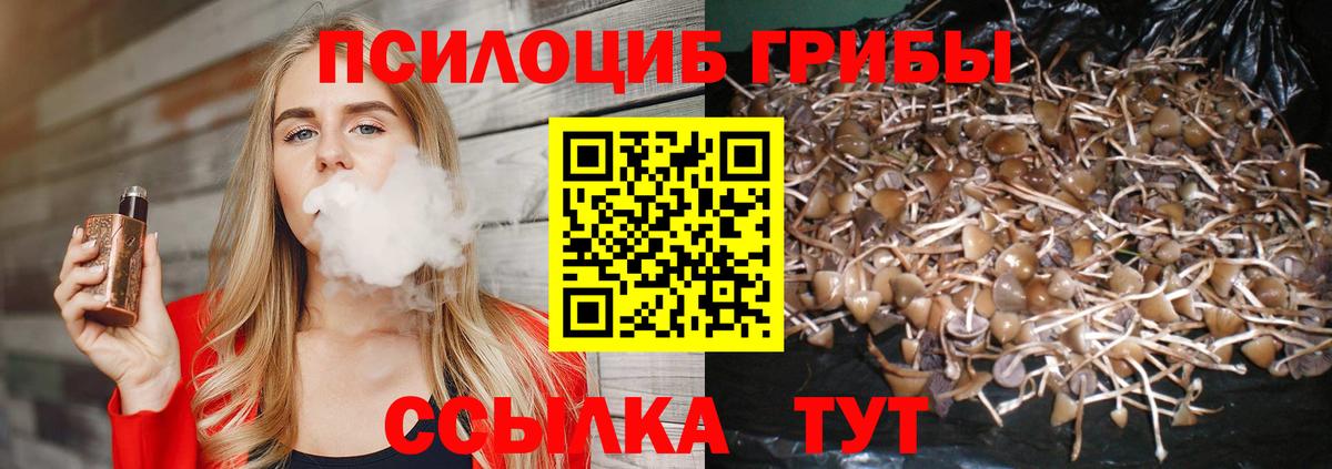 Псилоцибиновые грибы прущие грибы Кондопога