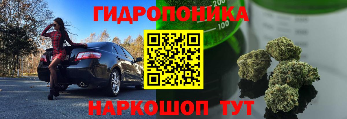 Канабис MAZAR Кондопога